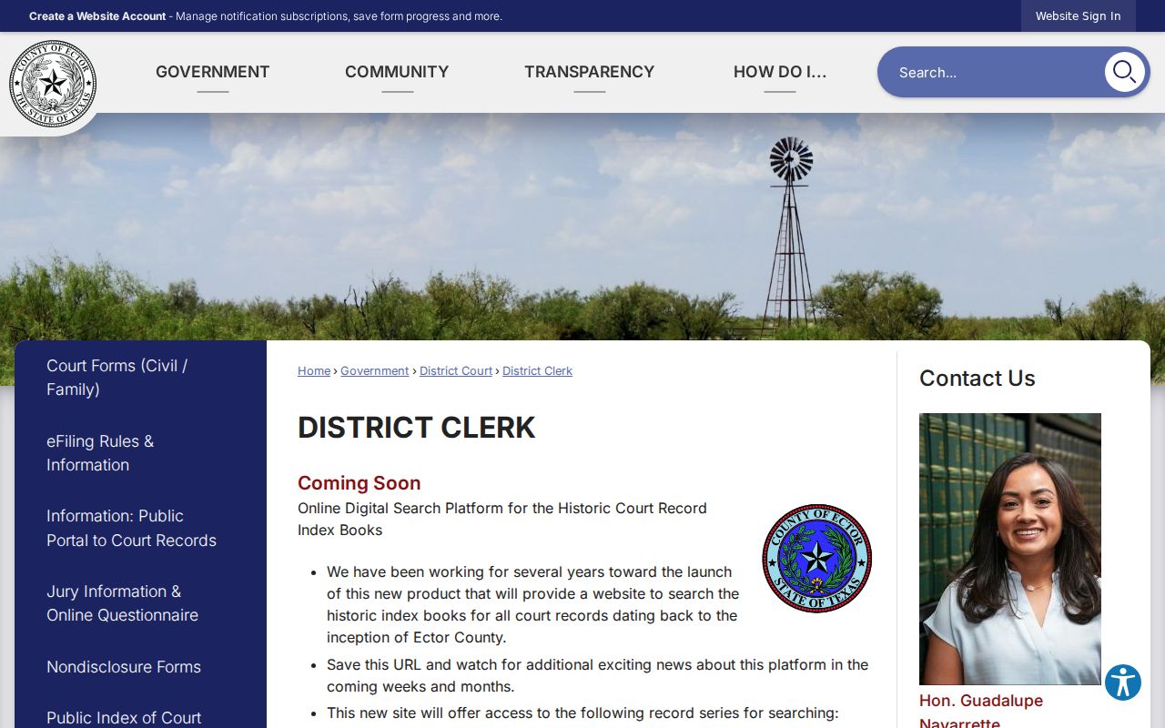 Ector County criminal court case records at the District Clerk